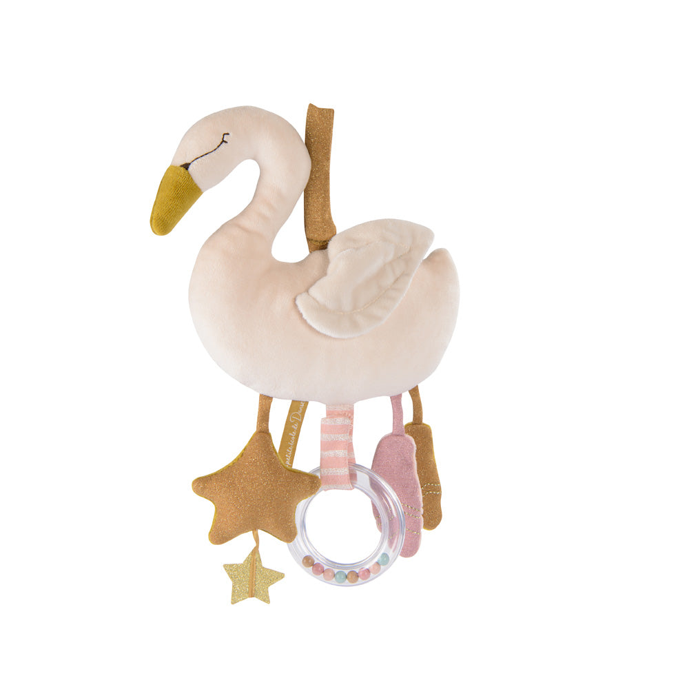 Cigno Attività