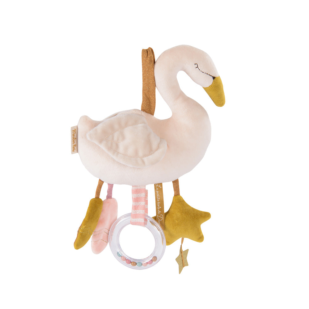 Cigno Attività
