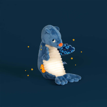 Foca luminosa