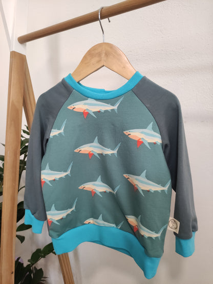 Felpa Raglan Squali