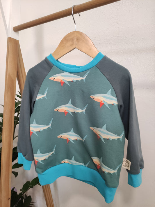 Felpa Raglan Squali