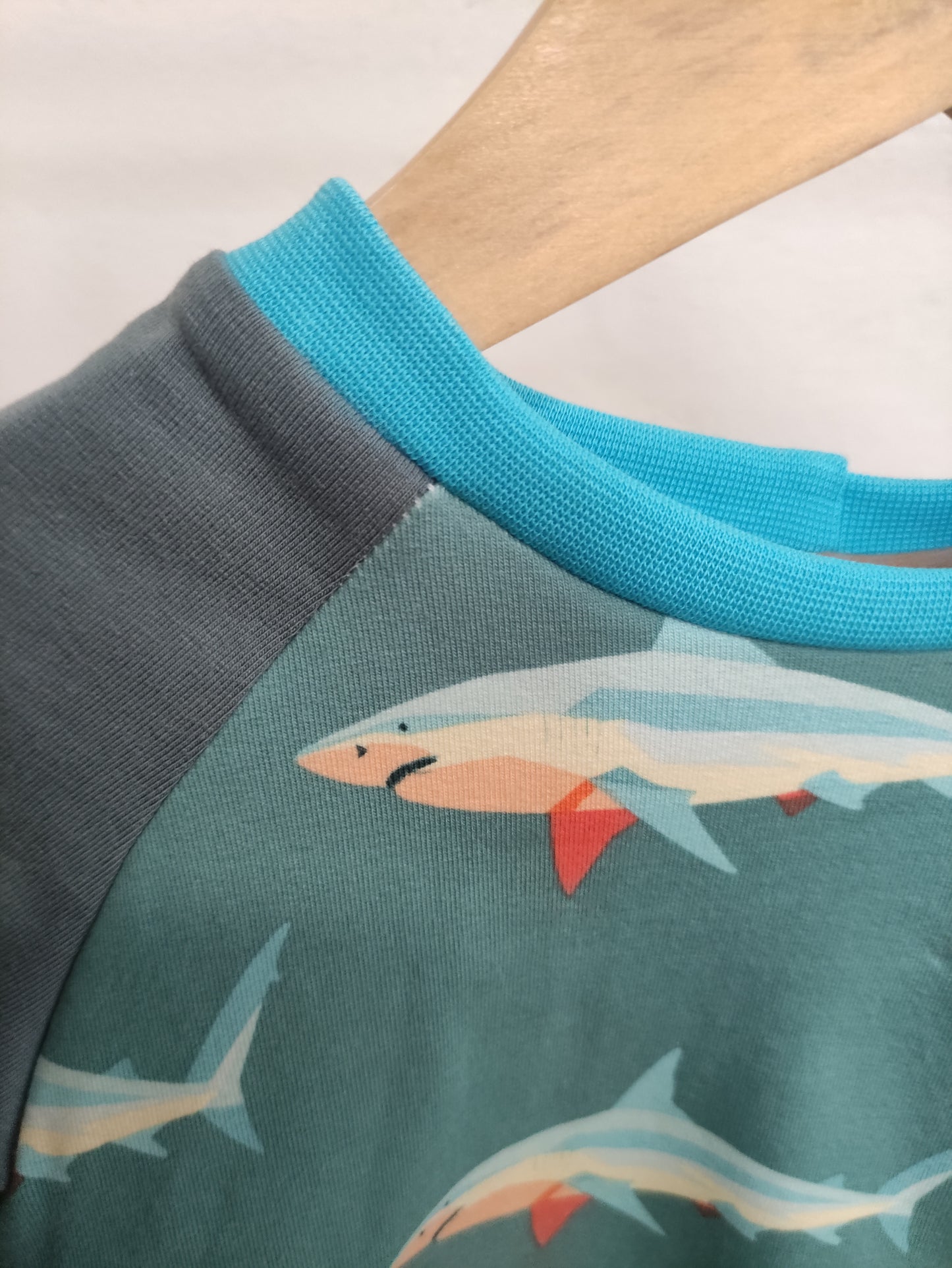 Felpa Raglan Squali